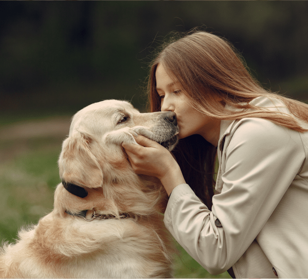 All Creatures Veterinary Center - All Creatures Veterinary Center