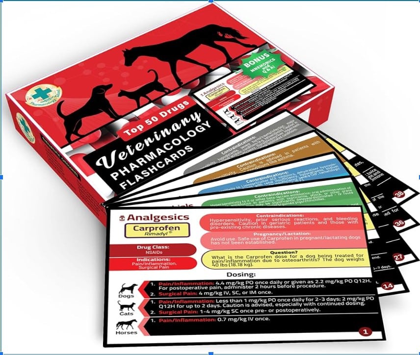 Veterinary Pharmacology Explained: Safe and Effective Use of Medications in Animals - All Creatures Veterinary Center What Is Veterinary Pharmacology?