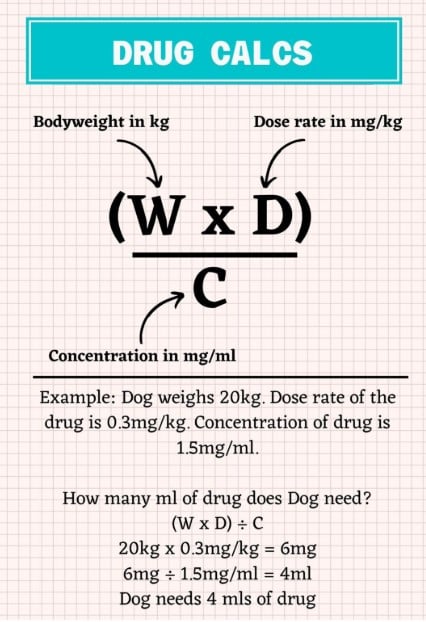 Veterinary Pharmacology Explained: Safe and Effective Use of Medications in Animals - All Creatures Veterinary Center Core Principles of Veterinary Pharmacology