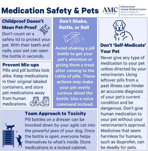 Veterinary Pharmacology Explained: Safe and Effective Use of Medications in Animals - All Creatures Veterinary Center Comparative Overview: Safe Medication Use
