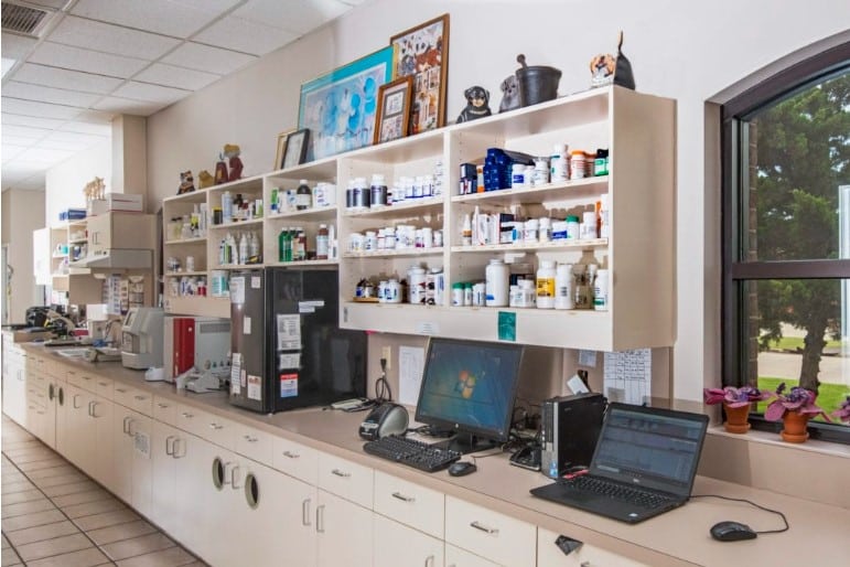 Veterinary Pharmacology Explained: Safe and Effective Use of Medications in Animals - All Creatures Veterinary Center Veterinary Pharmacology Explained: Safe and Effective Use of Medications in Animals