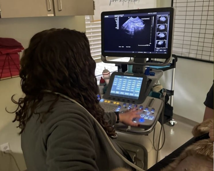 Veterinary Internal Medicine Explained: Advanced Diagnosis and Long-Term Care for Pets - All Creatures Veterinary Center How is advanced diagnosis done in Veterinary Internal Medicine?