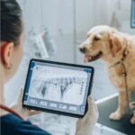 Veterinary Digital Radiology Explained Veterinary Digital Radiology Explained: Modern X-Ray Imaging in Animal Medicine