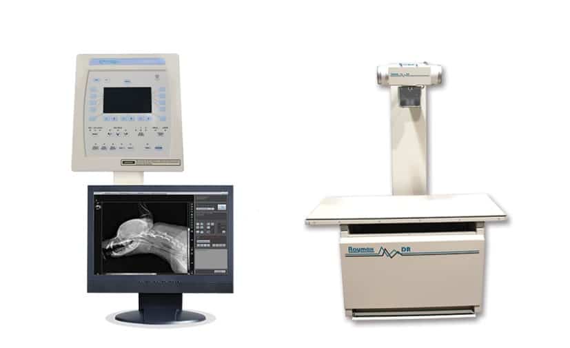 Veterinary Digital Radiology Explained - All Creatures Veterinary Center Veterinary Digital Radiology Explained: Modern X-Ray Imaging in Animal Medicine