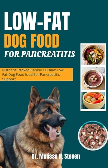 Canine Pancreatitis: Causes, Symptoms, Diagnosis, Treatment, and Long-Term Care - All Creatures Veterinary Center What will be the diet plan for the pet during the Recovery phase?