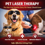 Pet Laser Therapy: The Pain-Free Solution Every Pet Owner Should Know Pet Laser Therapy The Pain Free Solution Every Pet Owner Should Know