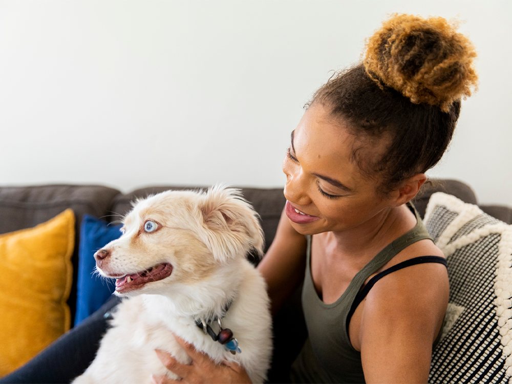 Preventive Vet Care Packages: Are Wellness Plans Worth the Cost? - All Creatures Veterinary Center How to choose the correct wellness plan for your pet?