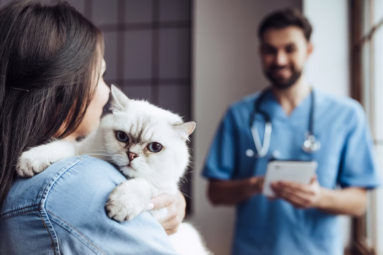 What Makes a Veterinary Clinic ‘Trusted’? (Checklist for Pet Owners) - All Creatures Veterinary Center How Different Vets Impact Your Pet’s Welfare