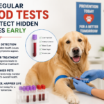 How Regular Blood Tests Can Detect Hidden Diseases Early How Regular Blood Tests Can Detect Hidden Diseases Early