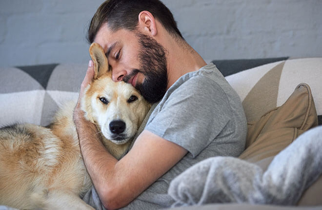 Preventive Care vs Emergency Care: What Saves More Money & Lives? - All Creatures Veterinary Center Understanding the main Difference between Stress and Comfort for Pets