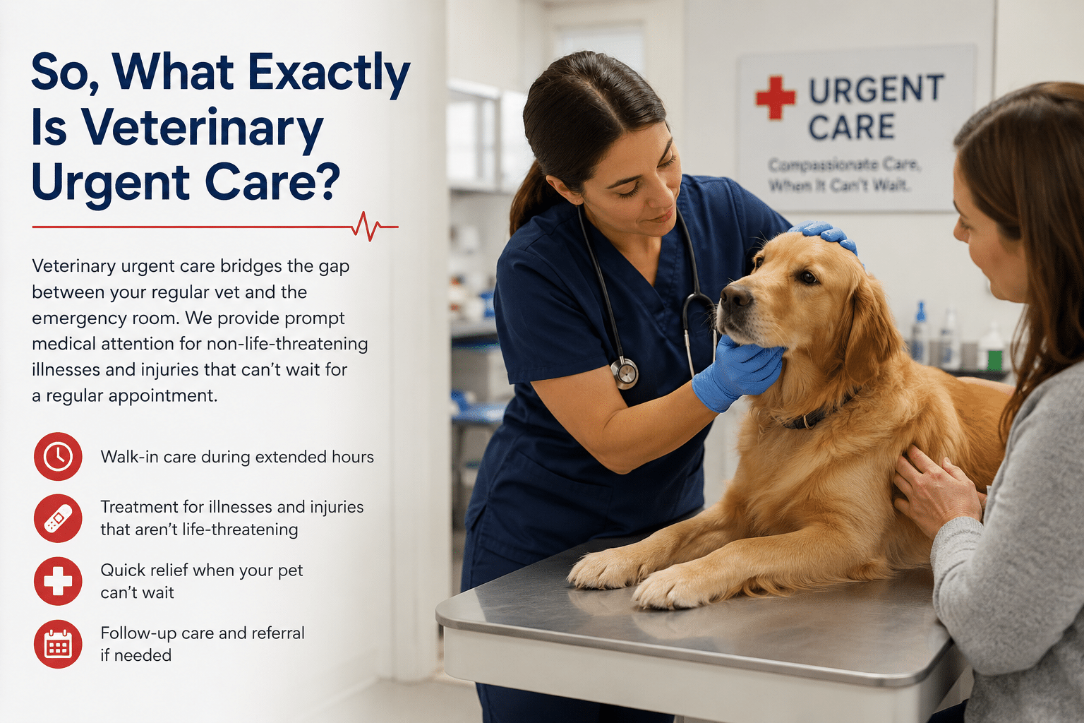 What Is Veterinary Urgent Care and When Should You Bring Your Pet In? - All Creatures Veterinary Center So, What Exactly Is Veterinary Urgent Care?